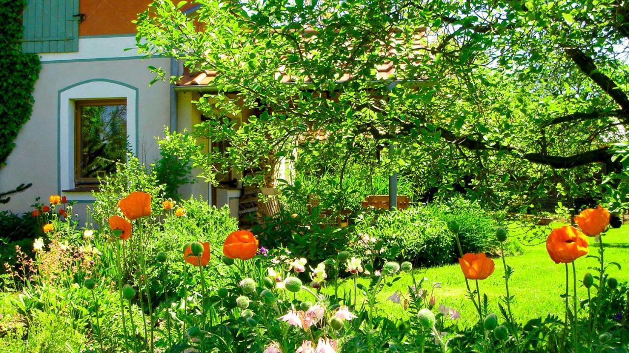 Janischs Fewo Im Spreewald, Terrasse, Grosser Garten Und Blick Inklusive Unterspreewald Dış mekan fotoğraf