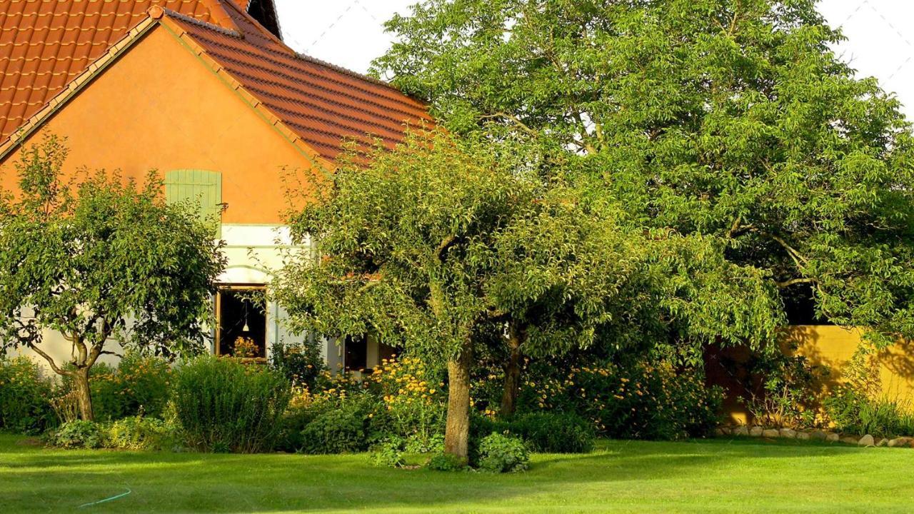 Janischs Fewo Im Spreewald, Terrasse, Grosser Garten Und Blick Inklusive Unterspreewald Dış mekan fotoğraf