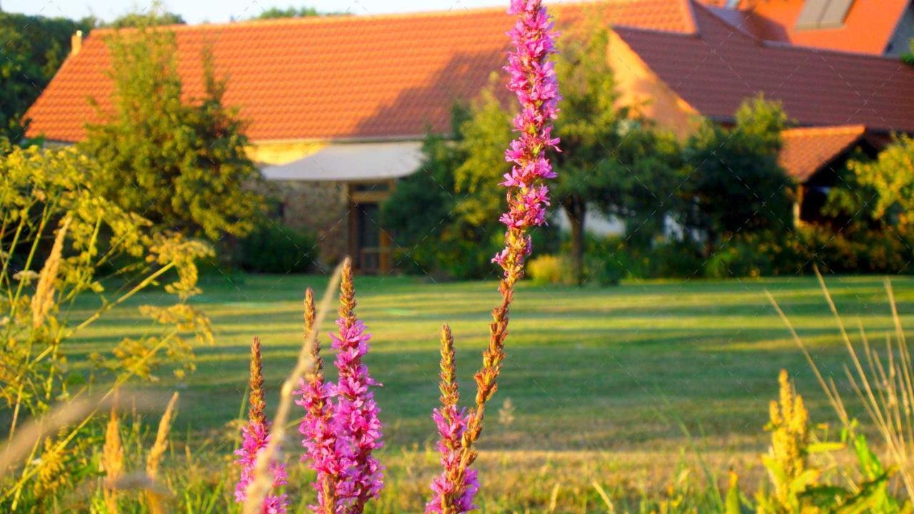 Janischs Fewo Im Spreewald, Terrasse, Grosser Garten Und Blick Inklusive Unterspreewald Dış mekan fotoğraf