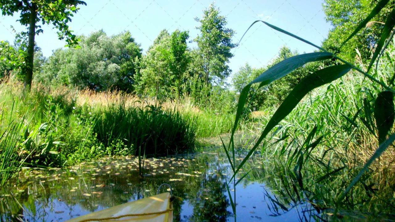 Janischs Fewo Im Spreewald, Terrasse, Grosser Garten Und Blick Inklusive Unterspreewald Dış mekan fotoğraf