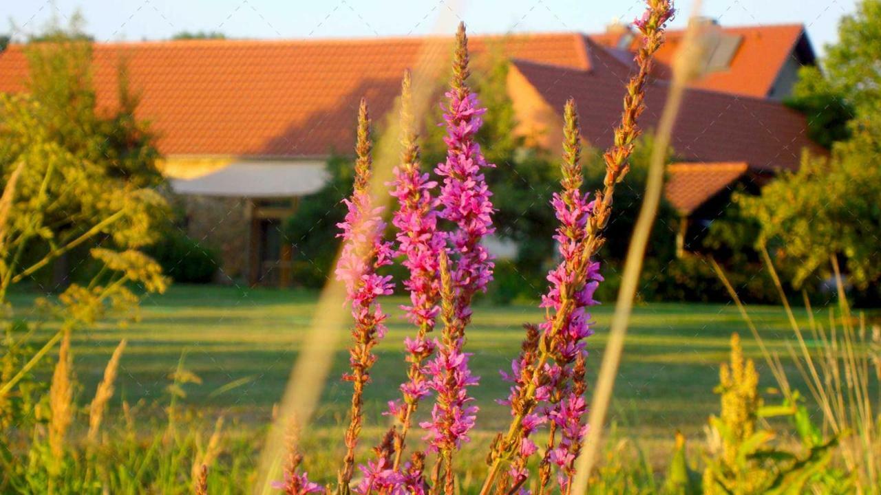 Janischs Fewo Im Spreewald, Terrasse, Grosser Garten Und Blick Inklusive Unterspreewald Dış mekan fotoğraf
